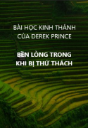 BỀN LÒNG TRONG KHI BỊ THỬ THÁCH