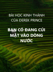 Bạn có đang cúi mặt vào dòng nước