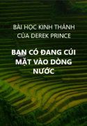 Bạn có đang cúi mặt vào dòng nước