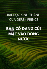 Bạn có đang cúi mặt vào dòng nước