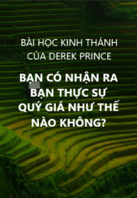 Bạn Có Nhận Ra Bạn Thực Sự Quý Giá Như Thế Nào Không