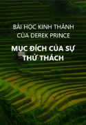 MỤC ĐÍCH CỦA SỰ THỬ THÁCH