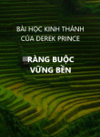 Ràng buộc vững bền