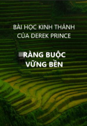 Ràng buộc vững bền