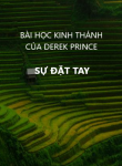 Sự đặt tay